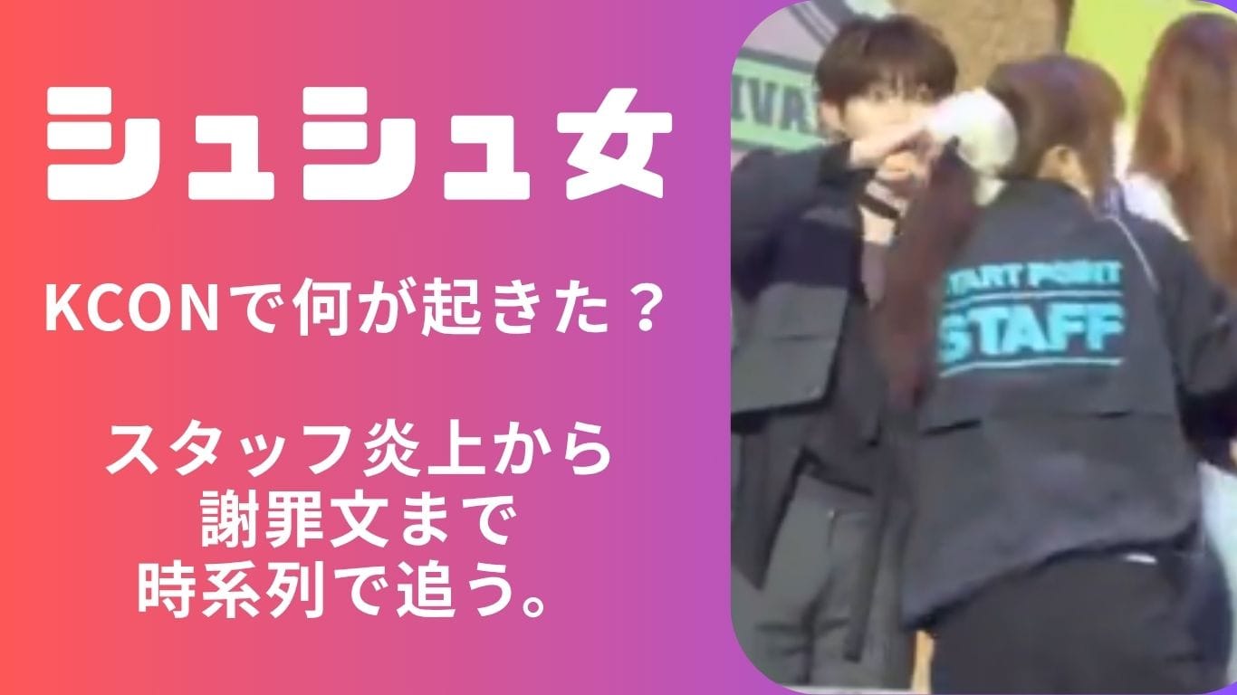 【シュシュ女】炎上の真相を徹底解説！「気に入らないから晒す」時代の狂気